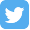 Twitter Icon