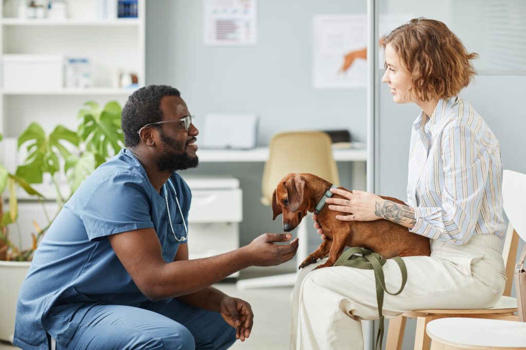 Vet tech talks to the owner of Dachshund about the treatment plan and costs | Ways to pay emergency vet bills.